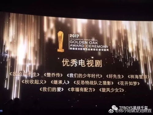 莫欺少年穷，一部揭示青春力量的励志巨作（60集）