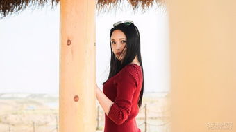 我的傻白甜媳妇第一季