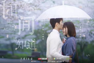 重逢情深（91集），时光流转中的深情再遇