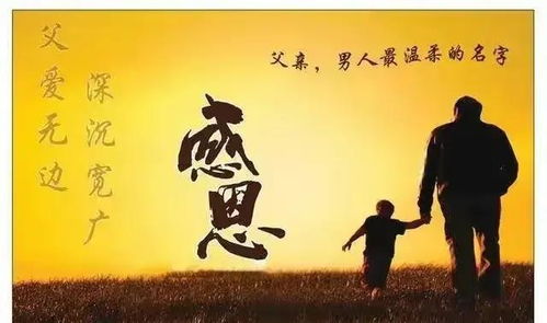 父亲的爱，深刻而独特的八十一个篇章