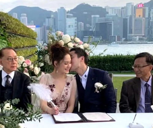 报告总裁，夫人带球结婚啦（99集）剧情深度解析与观感分享