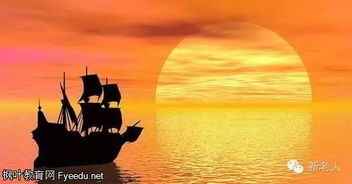 最美不过夕阳红（36集）连续剧深度解析