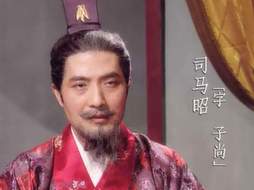少年天子，历史与青春的交织，权力与成长的博弈（93集）