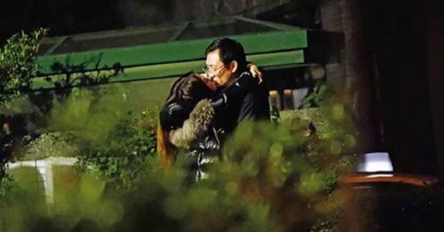 特工夫妇，秘密使命与爱情传奇（第1-82集剧情解析与感悟）