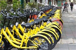 男子共享单车坐垫内放情趣用品被抓，一起涉及道德与法律的事件分析