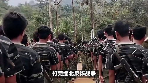 缅北反诈终极之战（81集）