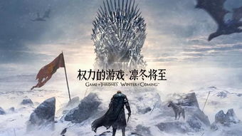 暗龙殿，权力与阴谋的交织（100集深度解析）