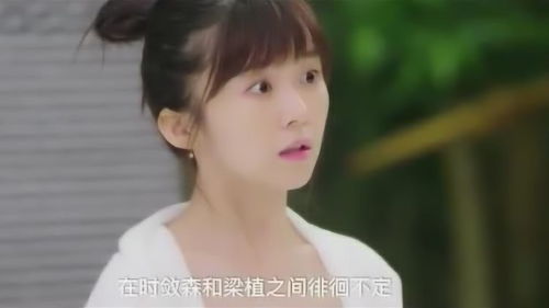 美女总裁的护妻高手