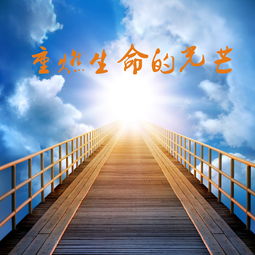 云深见朝阳，陈政阳的奋斗与成长（76集长篇）