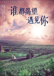 错位人生（第89集），探寻命运错综复杂的交织之路
