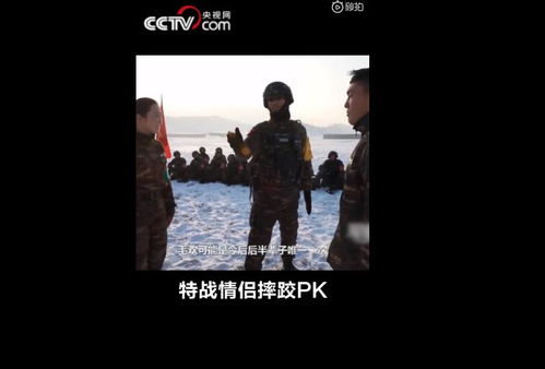 妻子的绝境反击，一场情感与智慧的较量（81集剧情概述）