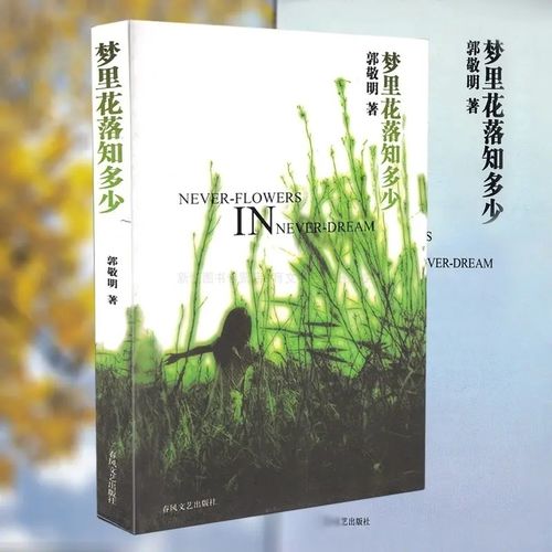 梦里花落知多少（80集）