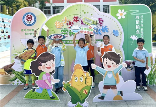 第二季，探索与成长的新篇章