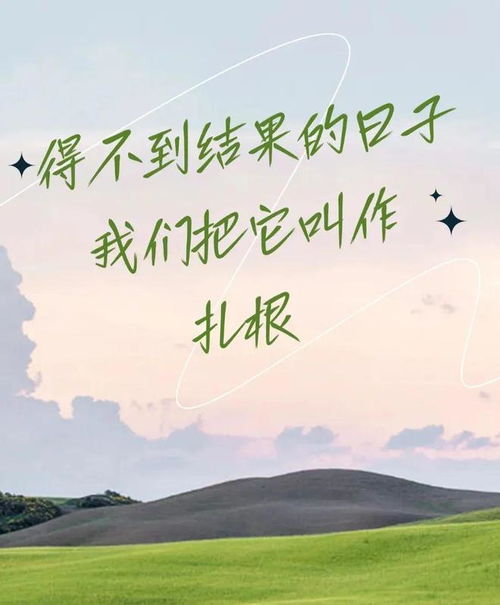 吾愿倾我心（70集）之人生旅程的深情诠释