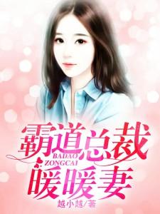 霸道总裁的神医老婆
