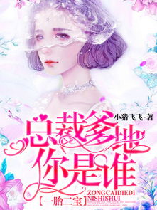 一胎二宝总裁爹地超凶猛