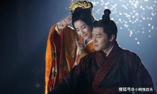 宸王的复仇王妃，权力与情感的交织