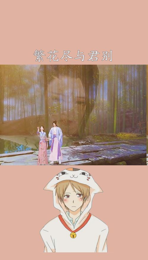 你是我的心心念念（77集）