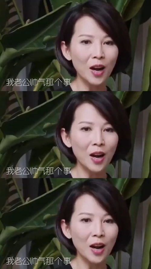 财迷娇妻心尖宠，99集甜蜜恋曲