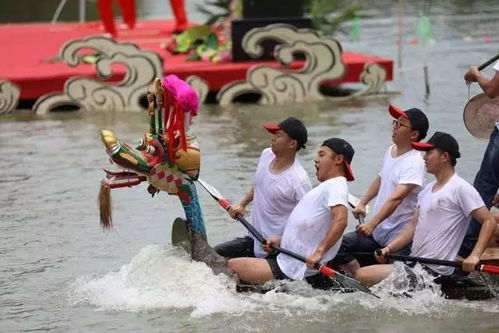 杭州五常龙舟惊现痛舟显眼包——探寻背后的故事与深意