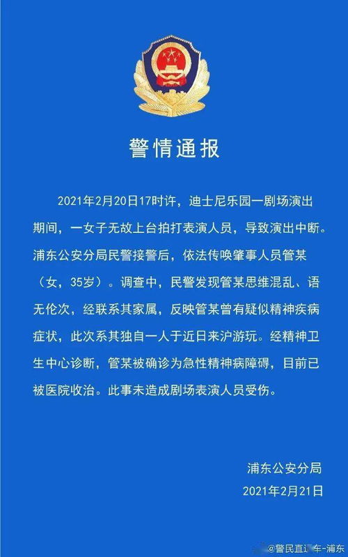 上海警方通报迪士尼游客打架事件，秩序与文明的双重考验