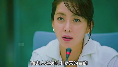 我的财阀老婆（91集）