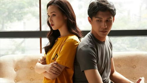 历总与夫人的婚姻纠葛，拒不离婚（61集）