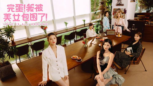 我被未婚妻包围了（94集）