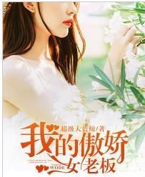 我的名门女总裁（93集），权力与爱情的交织