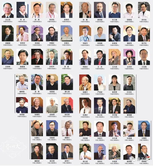 我在养老院里学诛仙（99集）