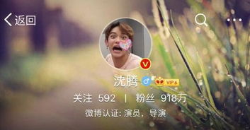 灵魂互换后沈总每天都撩我（80集）
