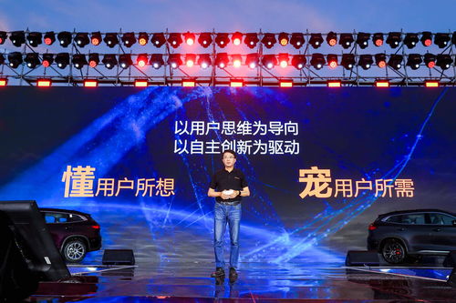 星途璀璨，探寻那73集的无限魅力
