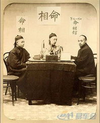 鉴宝女王，揭秘文物背后的故事（84集）