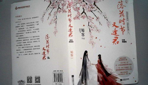 落花时节又逢君，嫁给厂工大人的故事（马秋元的篇章）