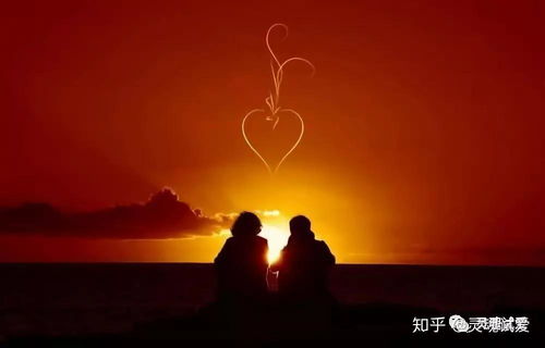 狂轰滥炸的爱，情感的无尽洪流