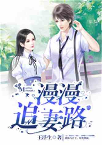 陆总的漫漫追妻路（65集）