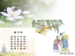 谁言寸草心（79集）——深度解读与感悟