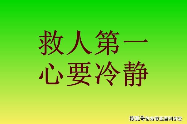 表白背后的坚持与情感纠葛——解读89集故事中的不变誓言