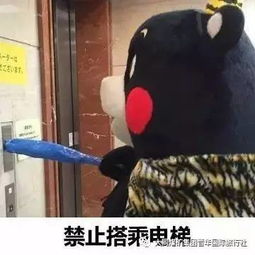 金丝雀驯养手册与总裁的金丝雀，深度解析与体验分享（共160集）