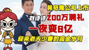 千亿为聘，沈少你别跑第35集深度解析