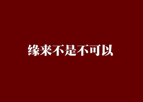 缘来不晚（61集），命运交织的温暖与深情