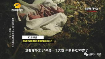 真假千金，一场错综复杂的身份之谜