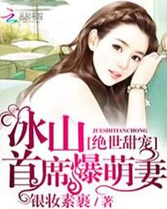 爱上冰山女总裁（一）至（九十六集）剧情概述与感悟