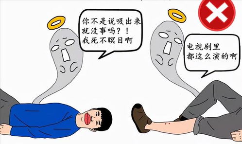 女子毒蛇咬伤送医身亡事件，医院的回应与社会反思