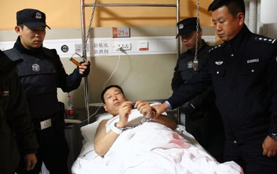 中国男子在大连杀害两名日本人被刑拘，事件深度解析与反思