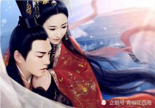 神主与人间悲剧，在装老婆都没了（69集深度解析）