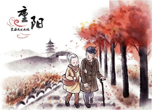 少小离家老大回（86集），时光流转中的乡情与人生洞察