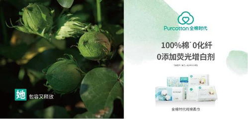 镇世骄龙，一部超越时代的传奇（71集深度解析）