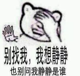 叮！我的首富老公已上线（82集）
