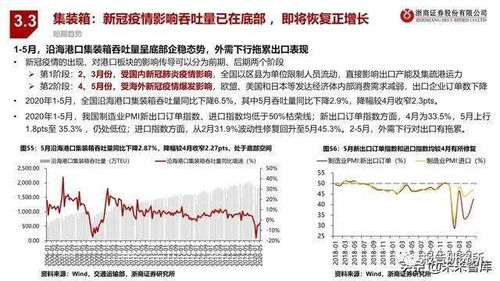 白金瞳，深度解读与多维探析（95集深度解析）